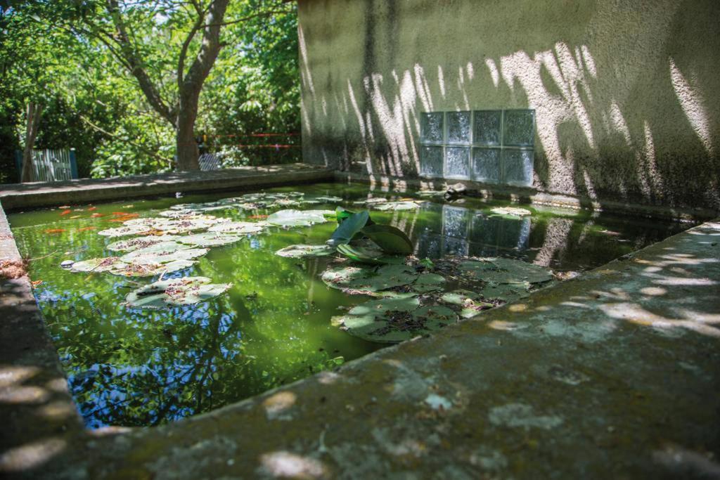 Villa Authentique mas provençal Gémenos Exterior foto